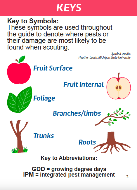 Infographic titled “KEYS” explaining symbols used in an apple pest scouting guide. Icons label where pests or damage may be found, including fruit surface, fruit internal, foliage, branches/limbs, trunks, and roots, each represented by simple illustrations (apple, sliced apple, leaf, branch, tree trunk, and roots). A key to abbreviations defines GDD as growing degree days and IPM as integrated pest management, with symbol credits to Michigan State University.